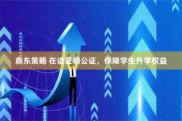 鼎东策略 在读证明公证，保障学生升学权益