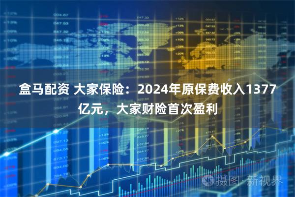 盒马配资 大家保险：2024年原保费收入1377亿元，大家财险首次盈利