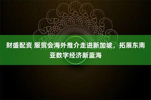 财盛配资 服贸会海外推介走进新加坡，拓展东南亚数字经济新蓝海