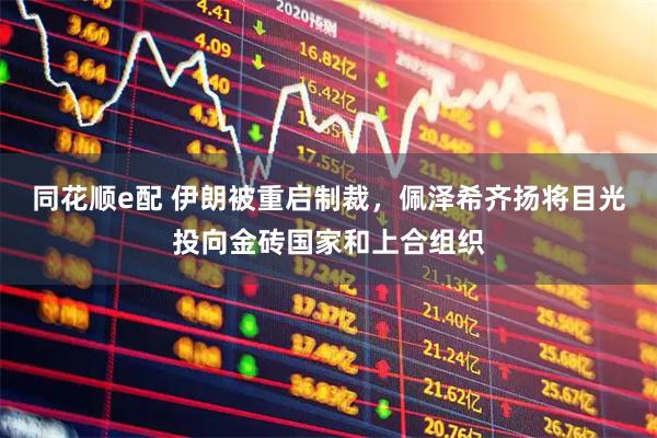 同花顺e配 伊朗被重启制裁，佩泽希齐扬将目光投向金砖国家和上合组织