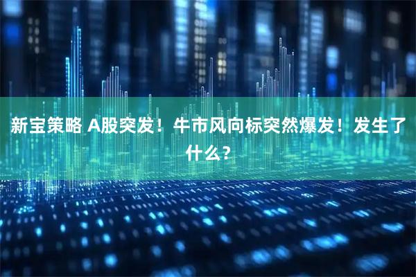 新宝策略 A股突发！牛市风向标突然爆发！发生了什么？