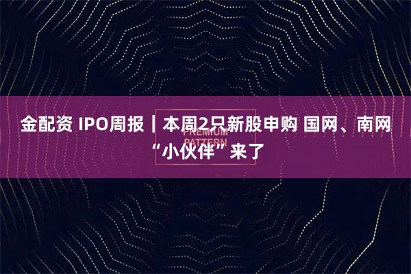金配资 IPO周报｜本周2只新股申购 国网、南网“小伙伴”来了