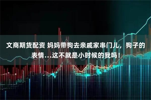 文商期货配资 妈妈带狗去亲戚家串门儿,狗子的表情…这不就是小时候的我吗!
