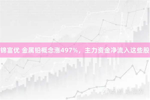 锦富优 金属铅概念涨497%，主力资金净流入这些股