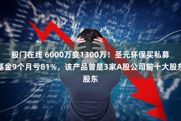 股门在线 6000万变1300万！圣元环保买私募基金9个月亏81%，该产品曾是3家A股公司前十大股东