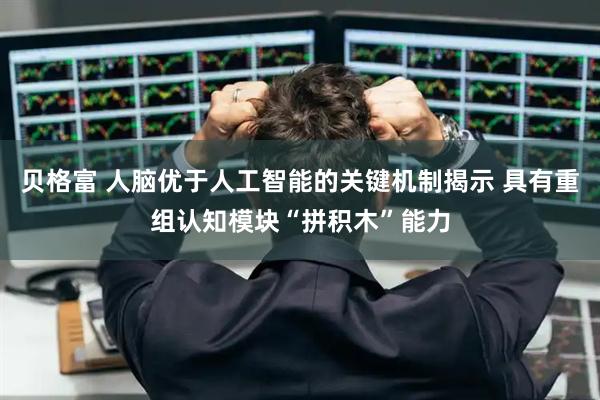 贝格富 人脑优于人工智能的关键机制揭示 具有重组认知模块“拼积木”能力
