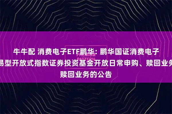 牛牛配 消费电子ETF鹏华: 鹏华国证消费电子主题交易型开放式指数证券投资基金开放日常申购、赎回业务的公告