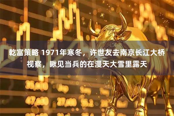 乾富策略 1971年寒冬，许世友去南京长江大桥视察，瞅见当兵的在漫天大雪里露天